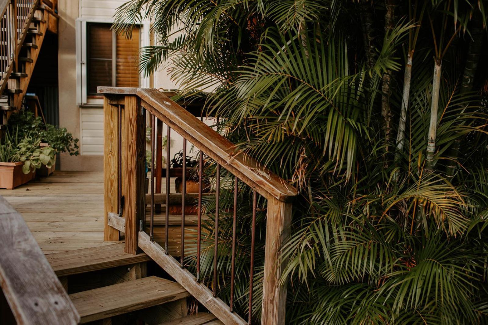 Cruz Bay Tropical Condo Exteriör bild